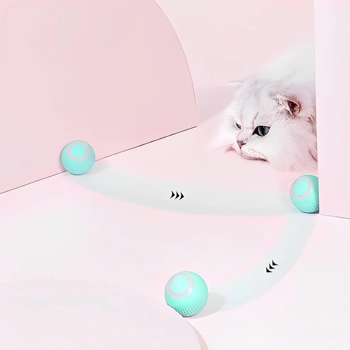 🐶🐱 PELOTA INTELIGENTE PARA MASCOTAS 🐶🐱