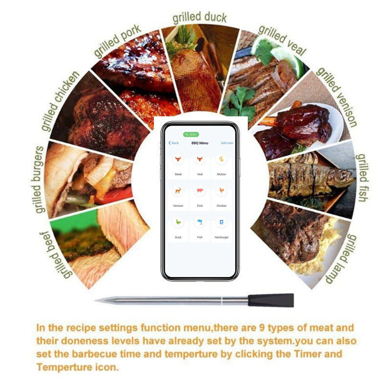 TERMÓMETRO INTELIGENTE PROFESIONAL PARA CARNE