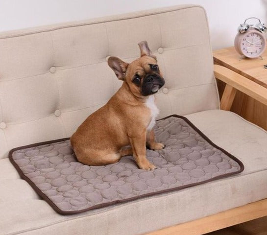 TAPETE EDUCADOR DE MASCOTAS