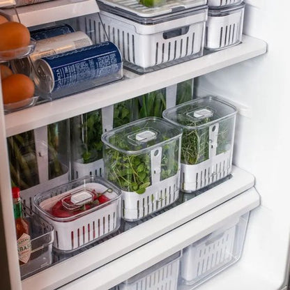 ORGANIZADOR Y CONSERVADOR DE HIERBAS FRESCAS