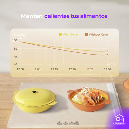 BANDEJA CALENTADORA AUTOMATICA