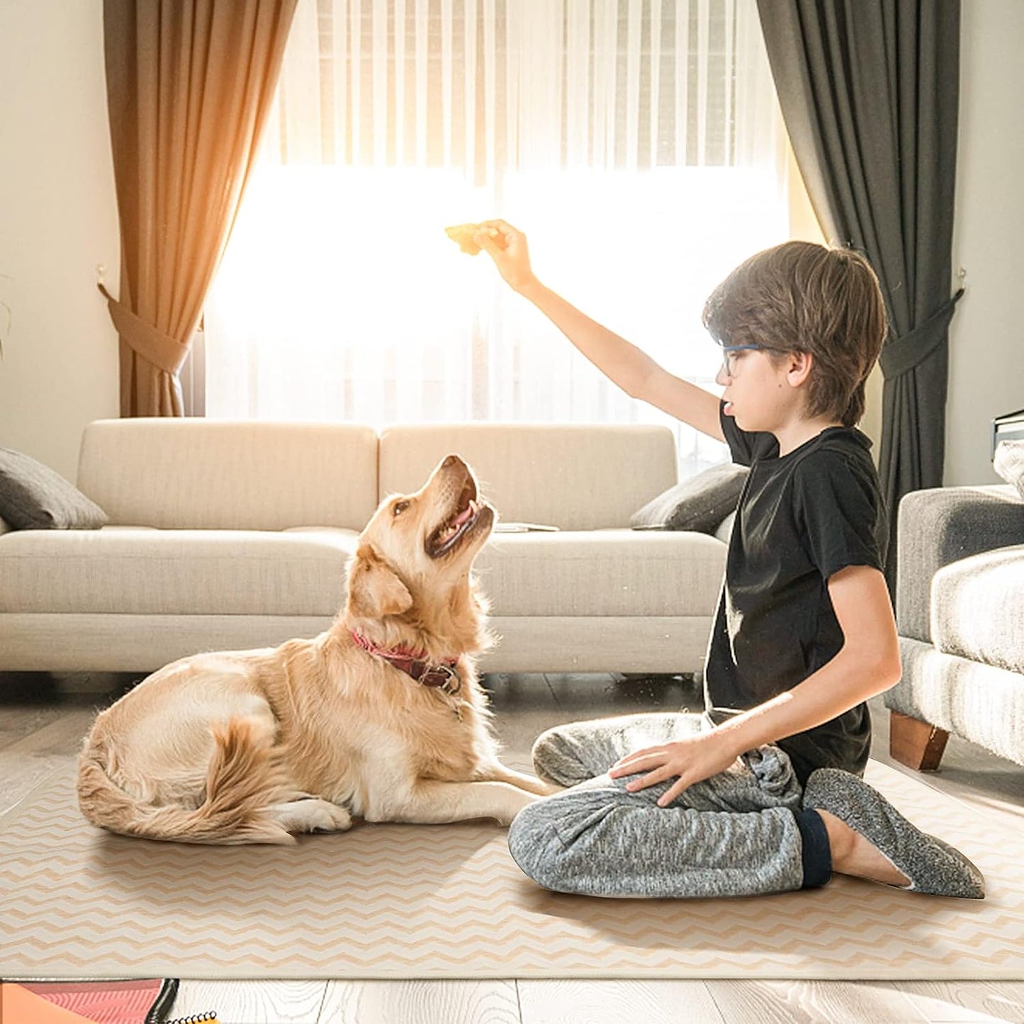 TAPETE EDUCADOR DE MASCOTAS