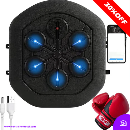 BOXING MUSIC MACHINE (incluye guantes de boxeo)