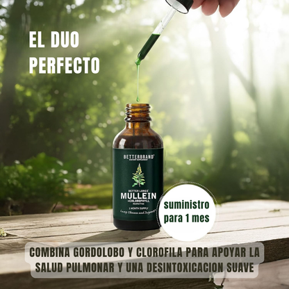 Limpiador Pulmonar - Better Lungs