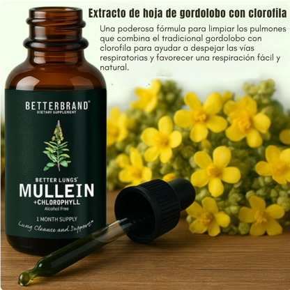 Limpiador Pulmonar - Better Lungs