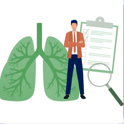 Apoya la regeneración celular, gracias a su alto contenido antioxidante.