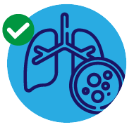 Desintoxica los pulmones y el sistema respiratorio de los residuos del tabaco.