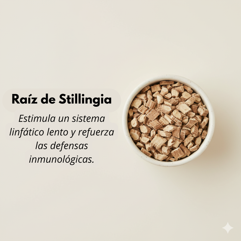 Estimula un sistema linfático lento y refuerza las defensas inmunológicas