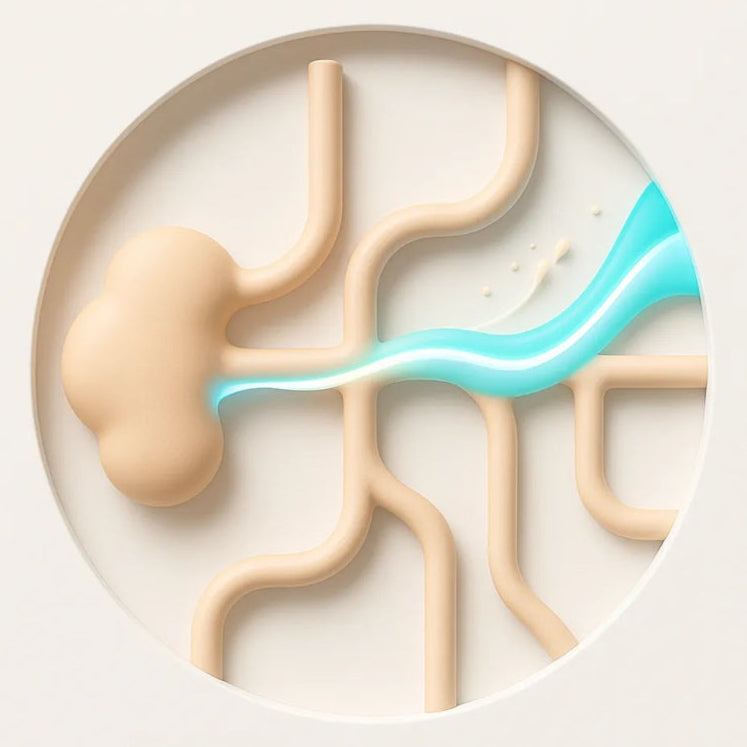 Libera el exceso de líquido para que tu cuerpo se vea más definido, no inflamado.