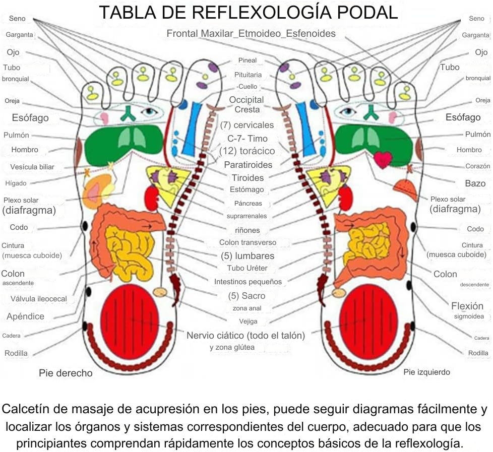 MEDIAS DE ACUPRESION