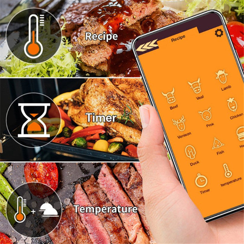 TERMÓMETRO INTELIGENTE PROFESIONAL PARA CARNE