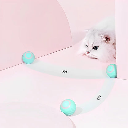 🐶🐱 PELOTA INTELIGENTE PARA MASCOTAS 🐶🐱