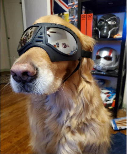 GAFAS DE MASCOTAS CON ESTUCHE