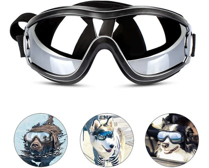 GAFAS PARA PERRO