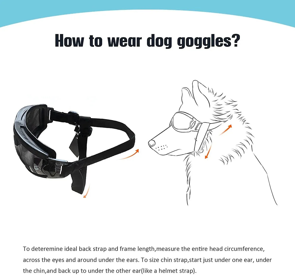 GAFAS PARA PERRO