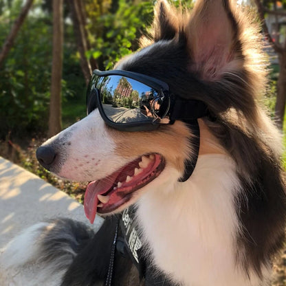 GAFAS PARA PERRO