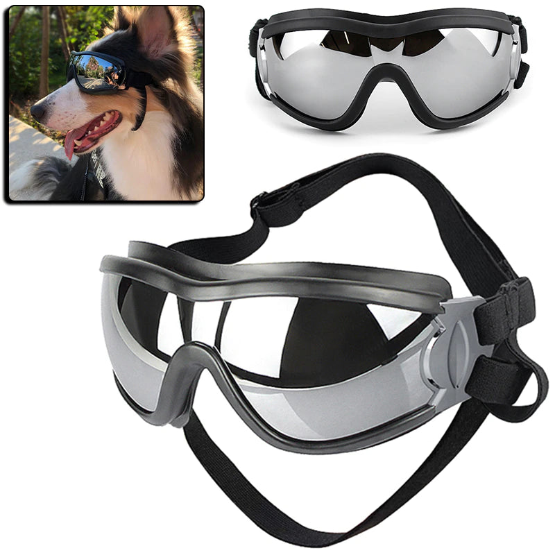 GAFAS PARA PERRO