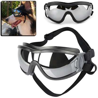 GAFAS PARA PERRO