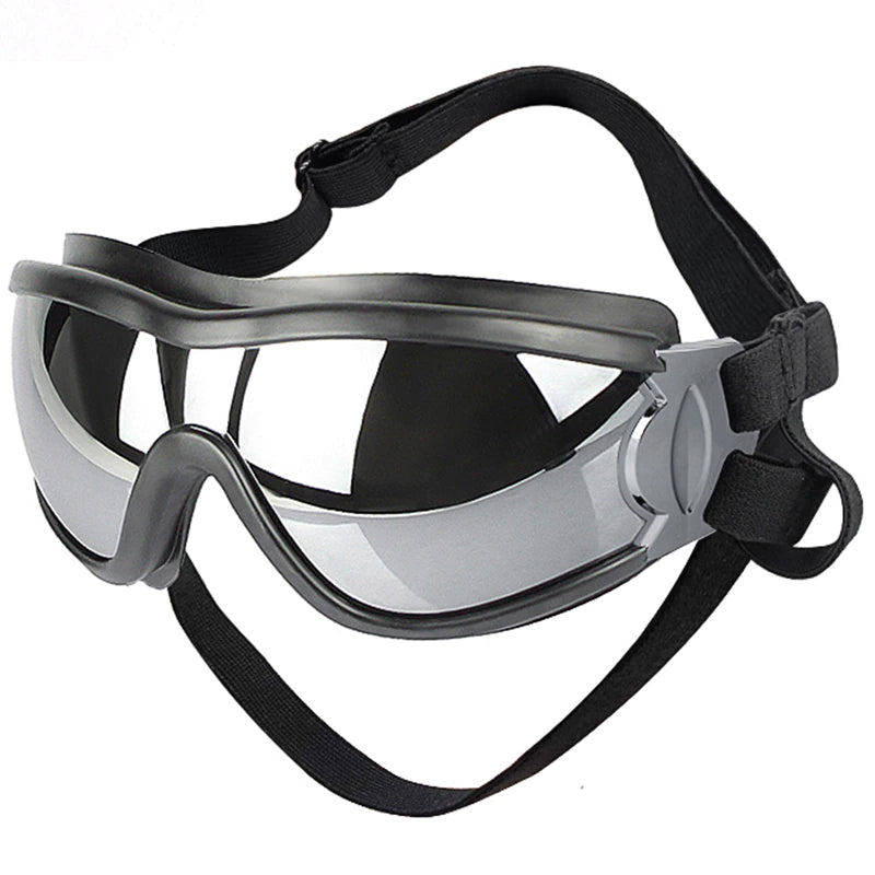 GAFAS PARA PERRO