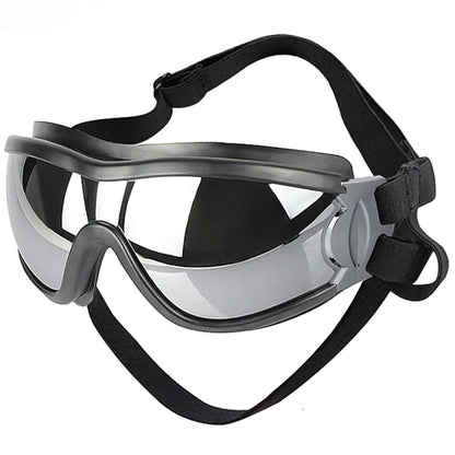 GAFAS PARA PERRO