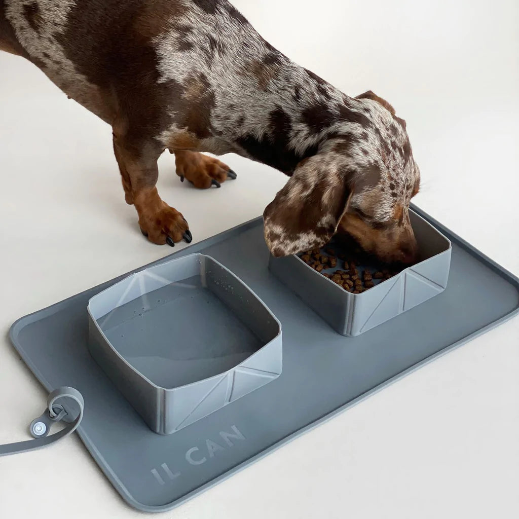 COMEDERO PÓRTATIL DE MASCOTAS