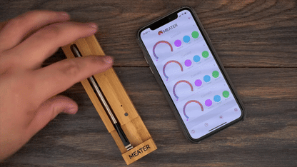 TERMÓMETRO INTELIGENTE PROFESIONAL PARA CARNE