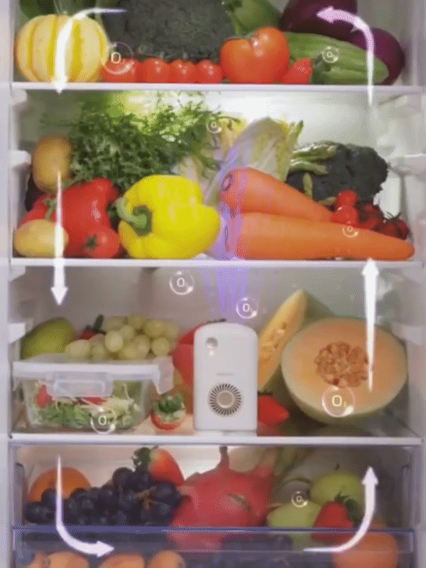 DESODORIZADOR DE NEVERA