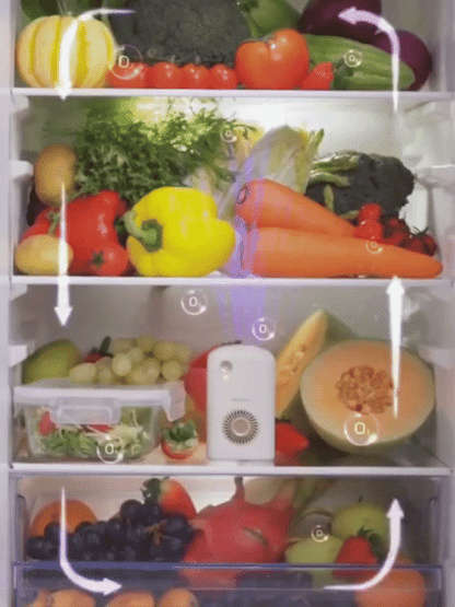 DESODORIZADOR DE NEVERA