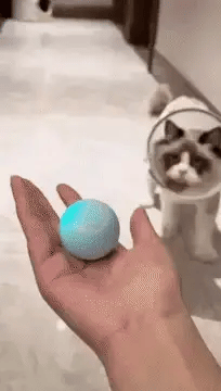 🐶🐱 PELOTA INTELIGENTE PARA MASCOTAS 🐶🐱